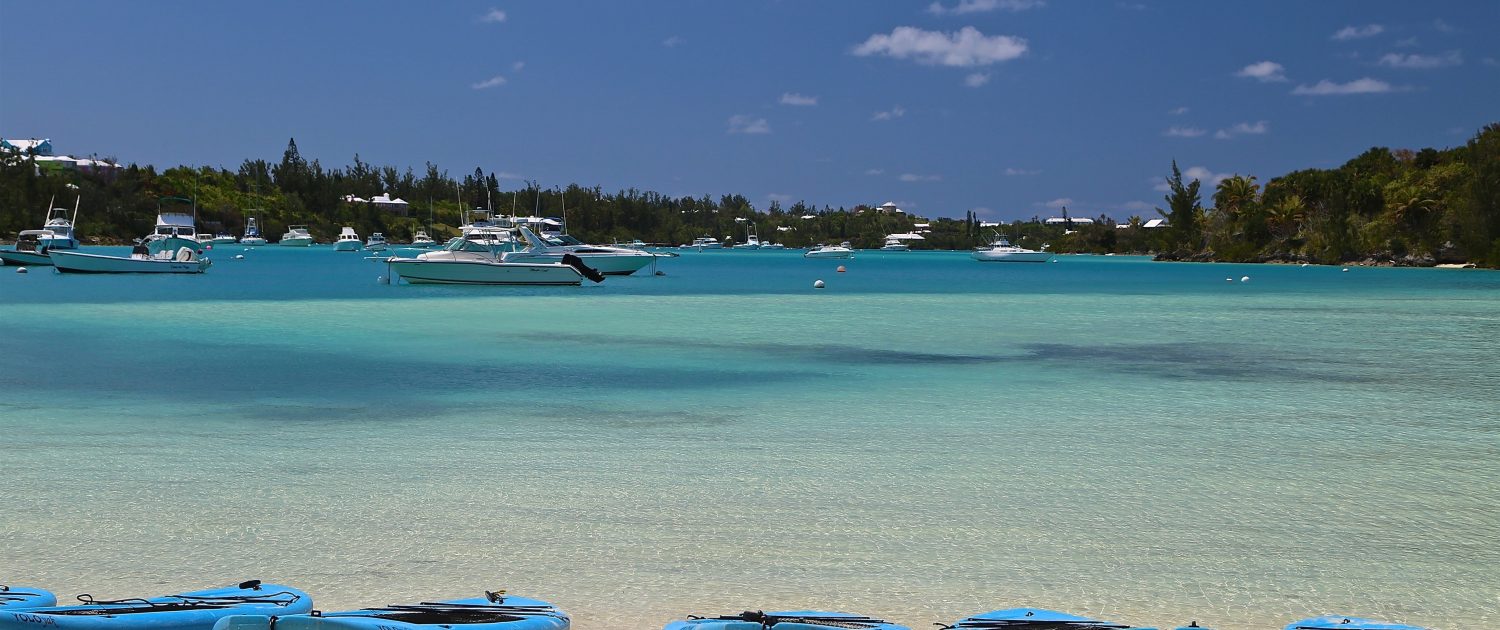 SUP boards on beach in Bermuda